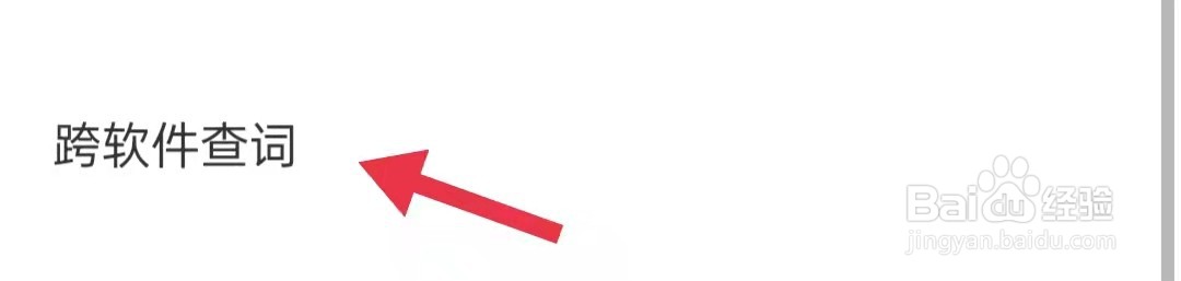 网易有道词典启用跨软件查词功能