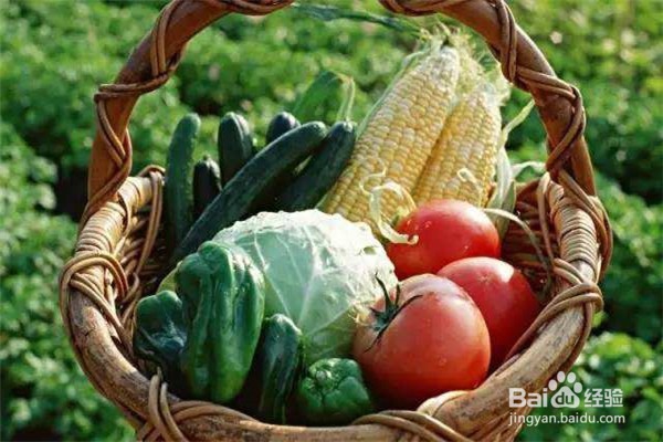 现在发展种植应该怎么选择项目？