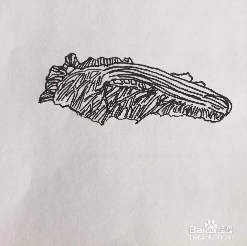 茉莉手绘之白菜与豆腐