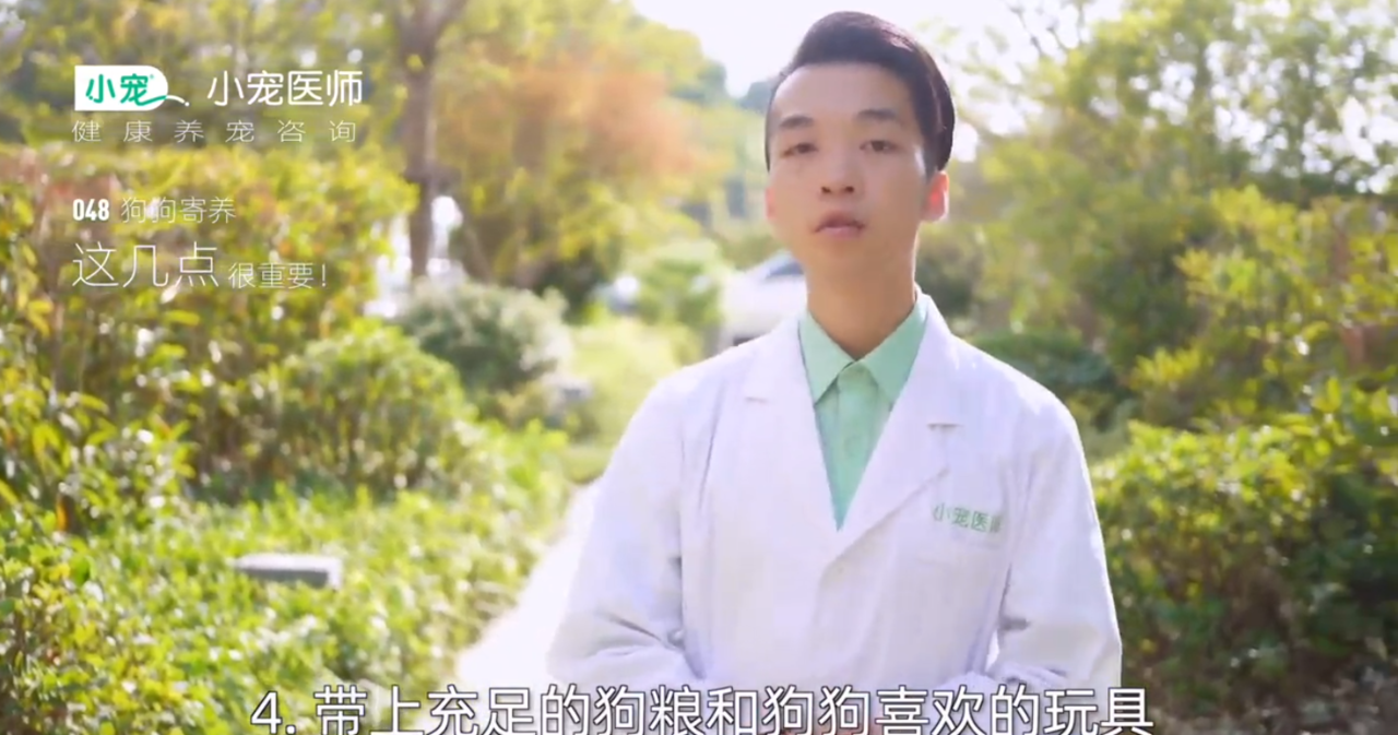 狗狗寄养有哪些注意事项