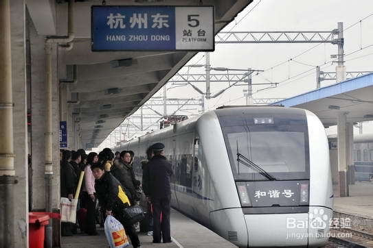 探寻神秘喀纳斯,寻找湖中的秘密-新疆之旅