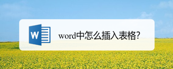 word中怎么插入表格