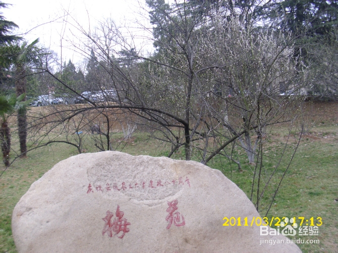 安徽农业大学校园聚会&约会精选场地