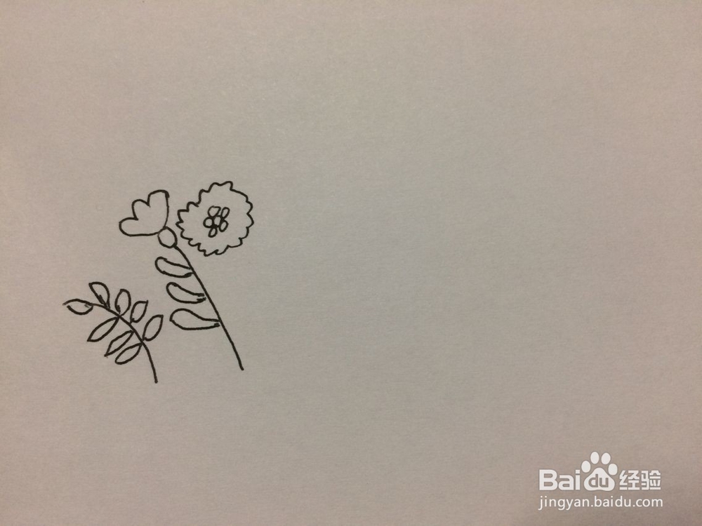 黑板报小花插图的画法