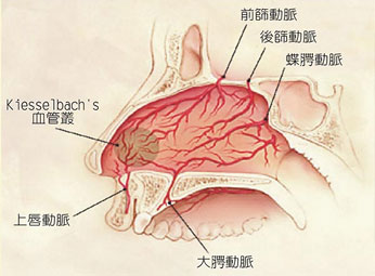 鼻出血的急救方法