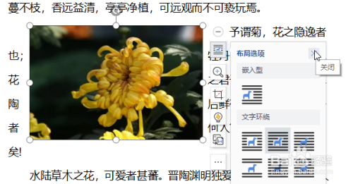 WPS怎么设置图片布局