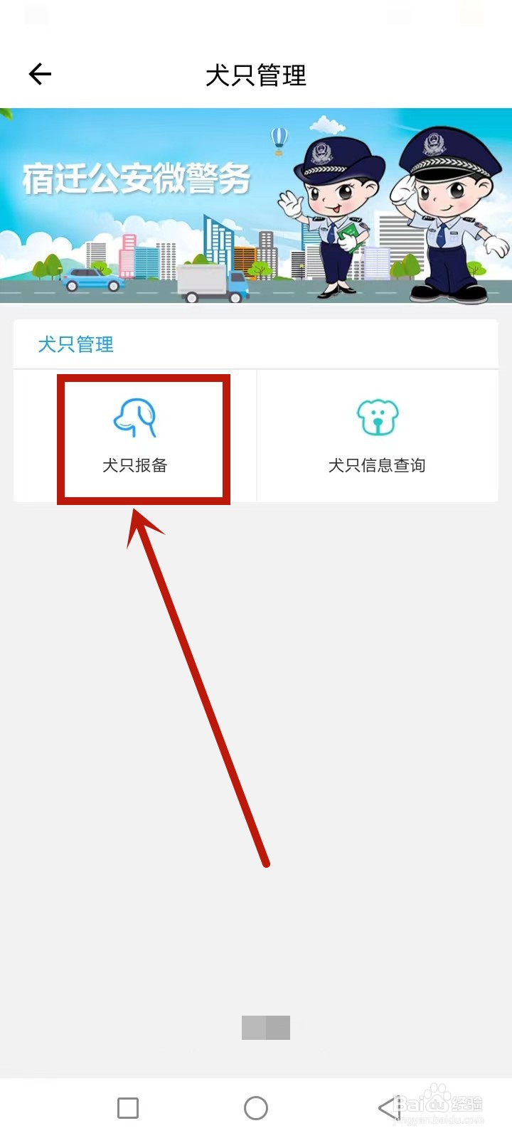 宿迁养狗犬证怎么申请