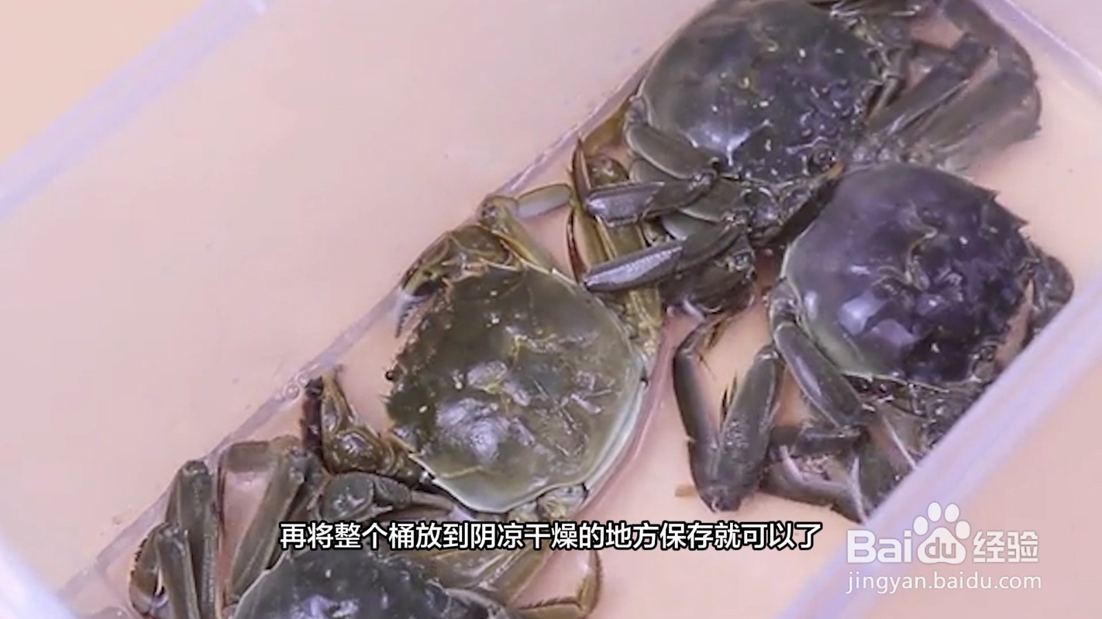 收到的活蟹怎么保存