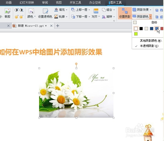 WPS中如何给图片添加阴影效果