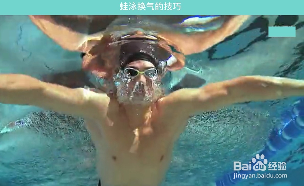 怎么学习游泳之蛙泳技巧