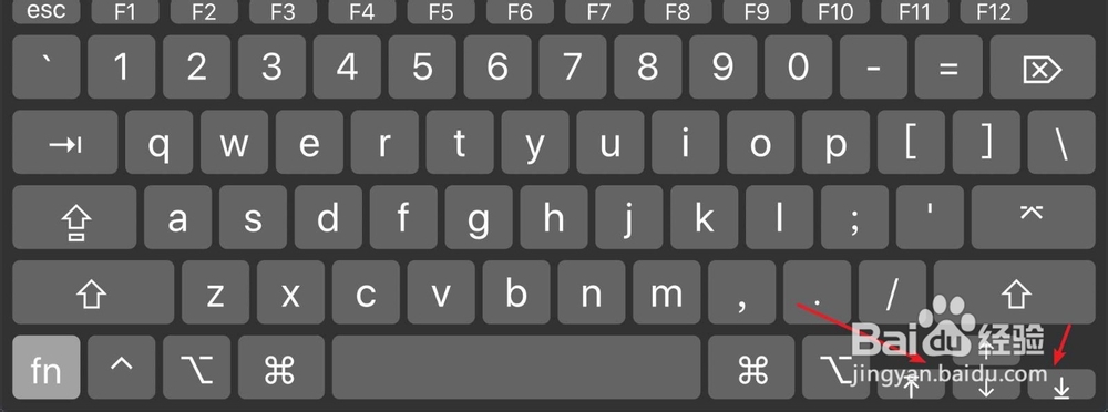 Mac OS X预览怎么用