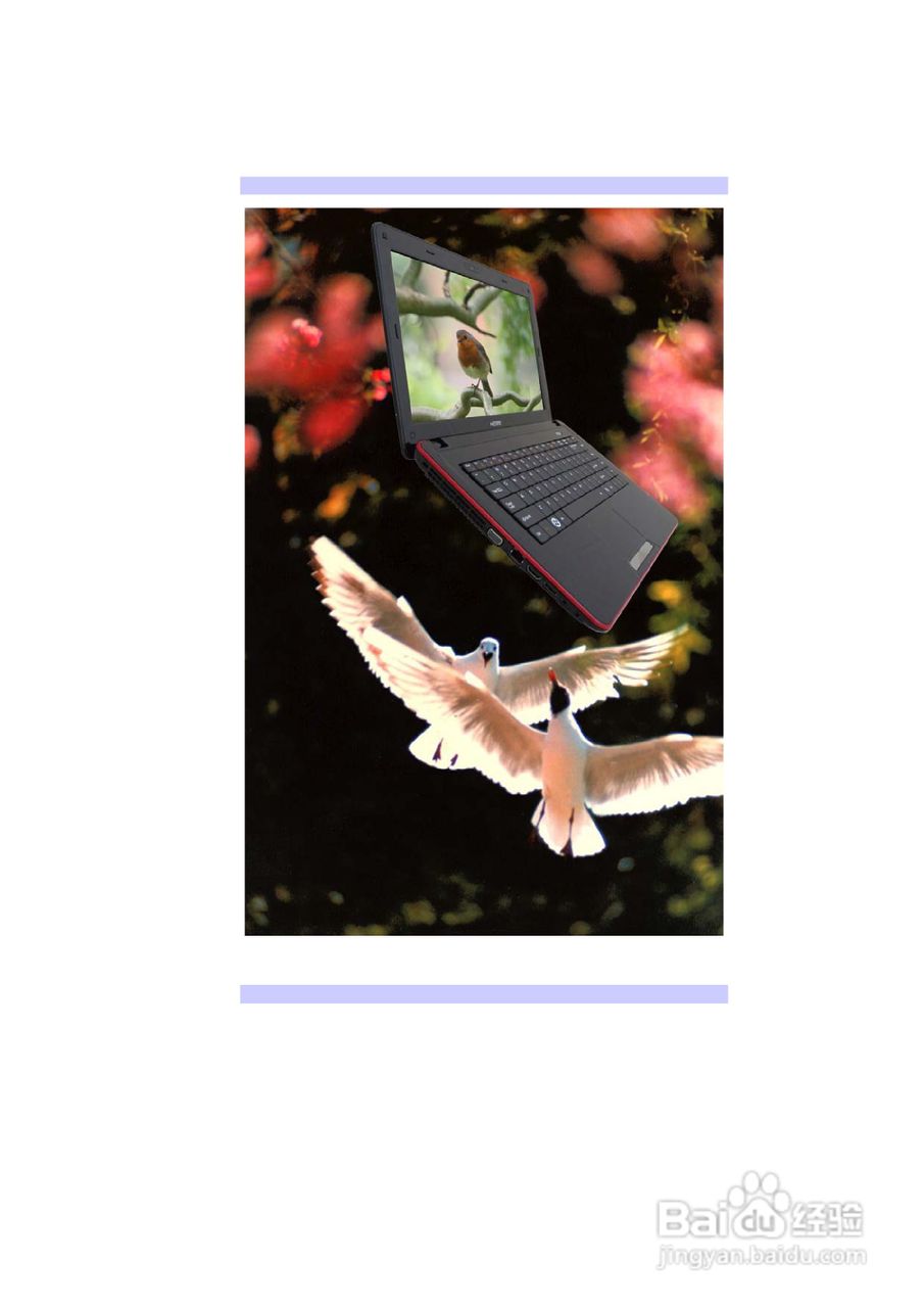 精英ECS H41笔记本电脑说明书:[1]