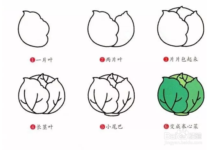 100种蔬菜的简笔画