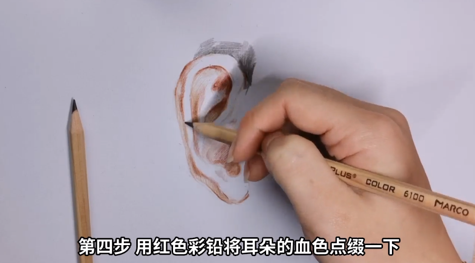 如何用彩铅画耳朵？