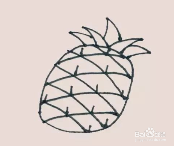 如何画简笔画菠萝？