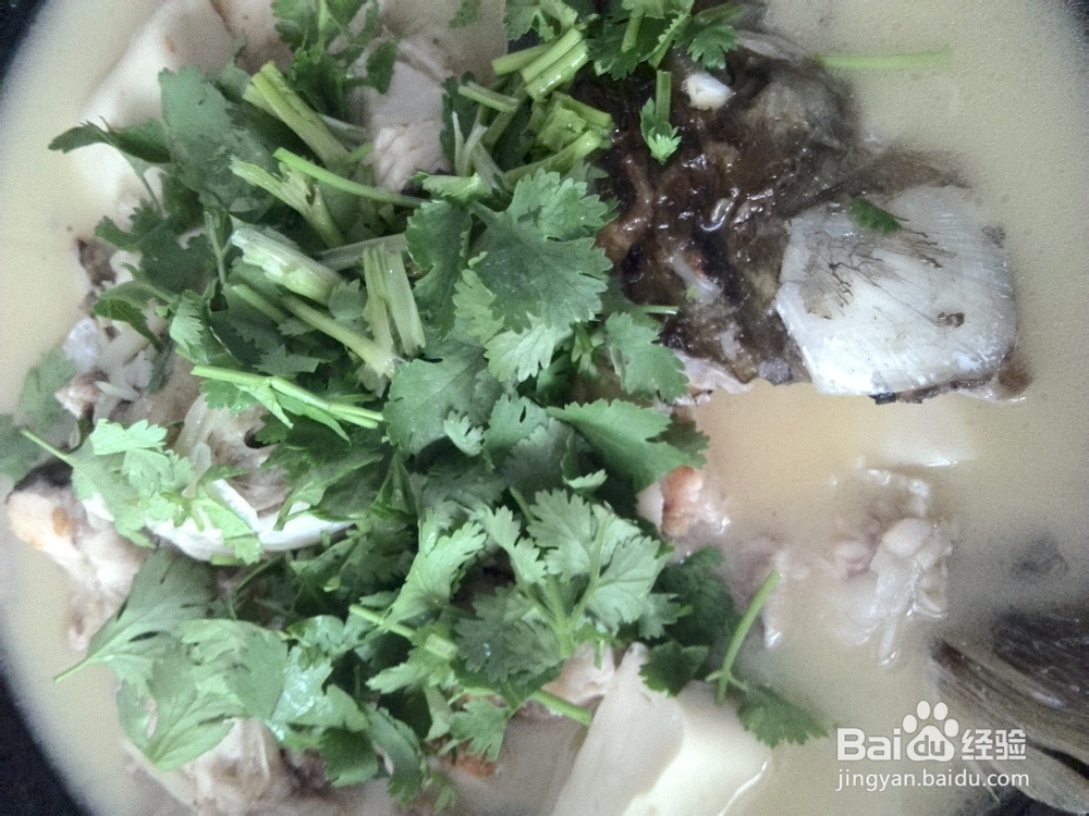 姜丝豆腐草鱼汤