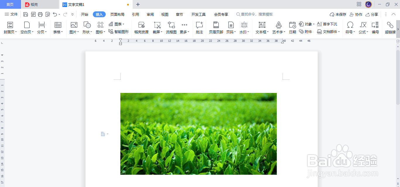 WPS(Word)插入的图片怎么剪裁