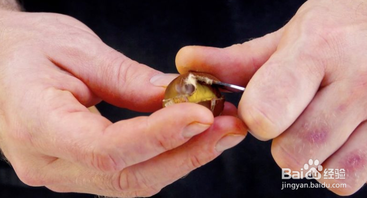 栗子马斯卡彭蛋糕卷怎么制作?