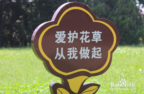 怎样开展环境日活动？