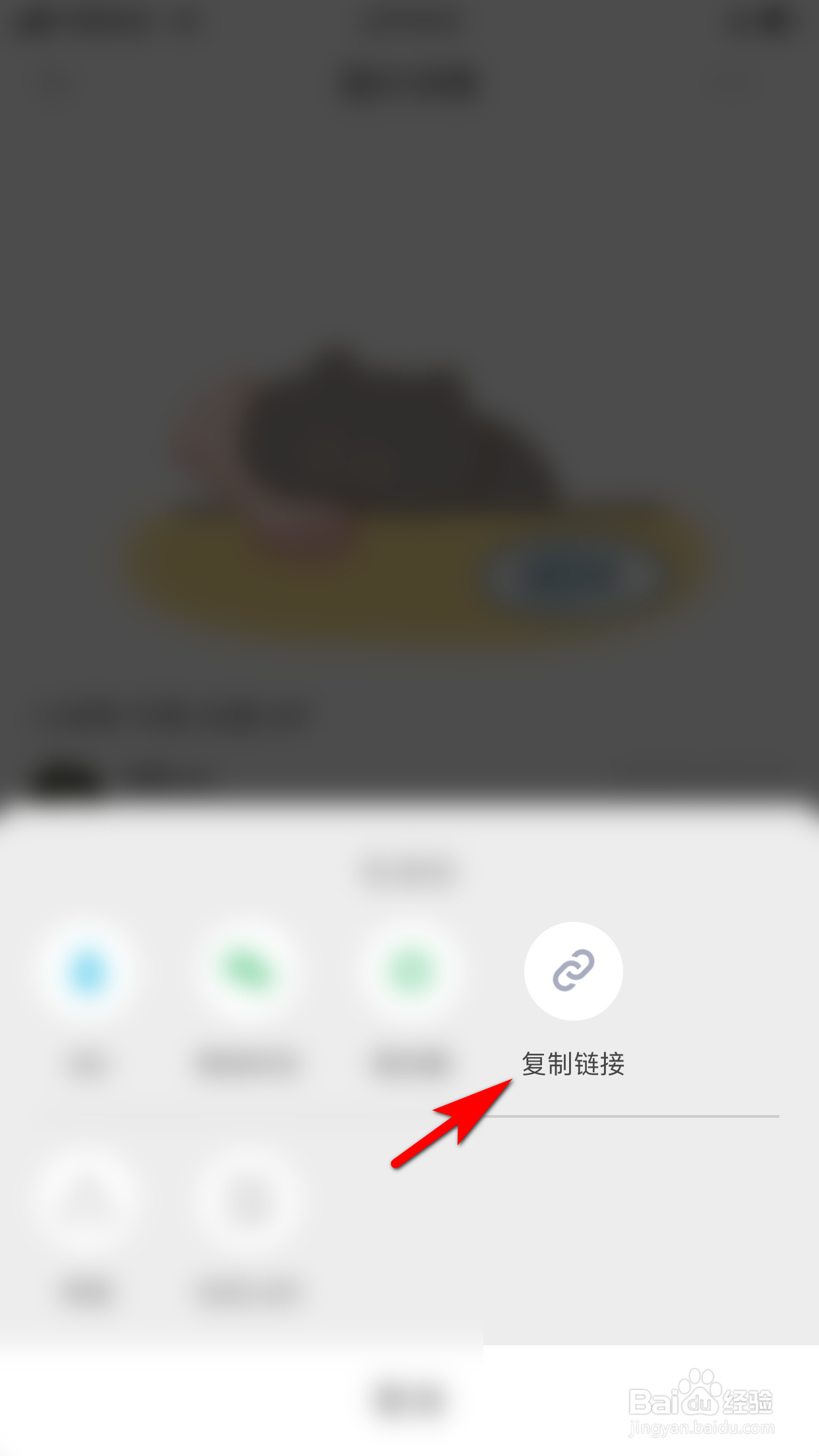 堆糖怎么复制朋友圈动图的链接