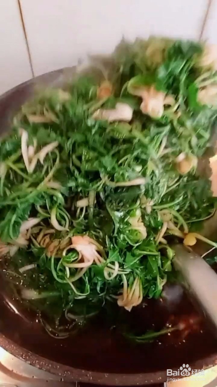 如何自制美味好吃的凉拌蒲公英