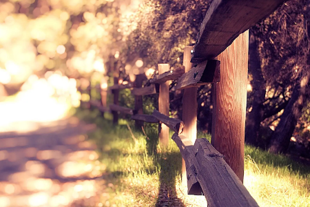 英文句子唯美简短有哪些