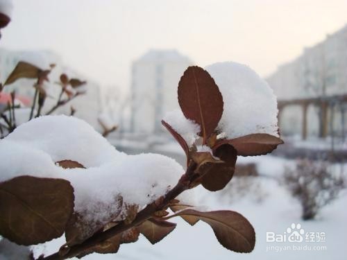 下雪天出门应注意哪些事项？