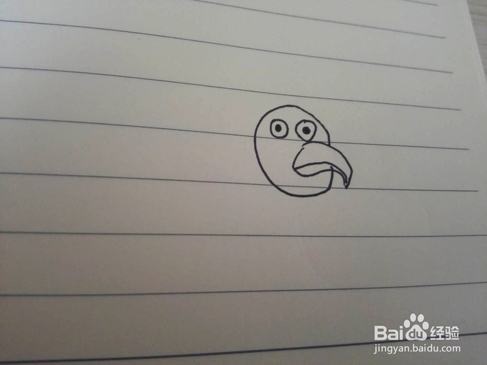 简笔画之老母鸡的画法经验分享