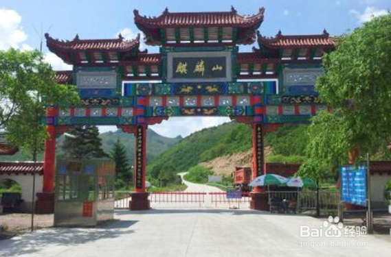 鸡西有什么好玩的地方