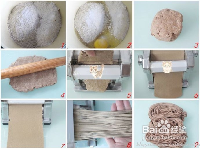 高温天气里我们最想吃的一碗荞麦凉面------面条感悟