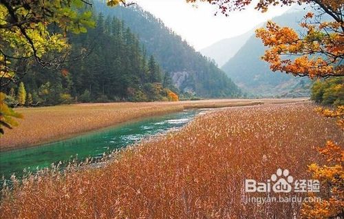 长沙到成都、九寨沟、牟尼沟双飞五日游最佳安排