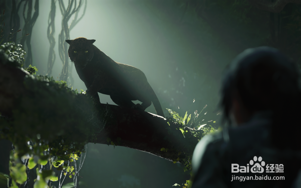 古墓丽影暗影 白皇后之谜攻略