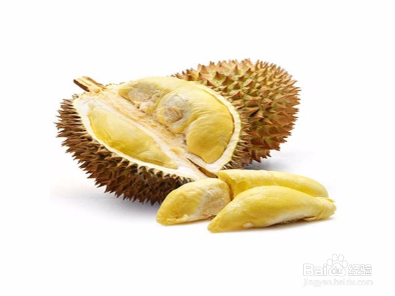 榴莲种子如何播种