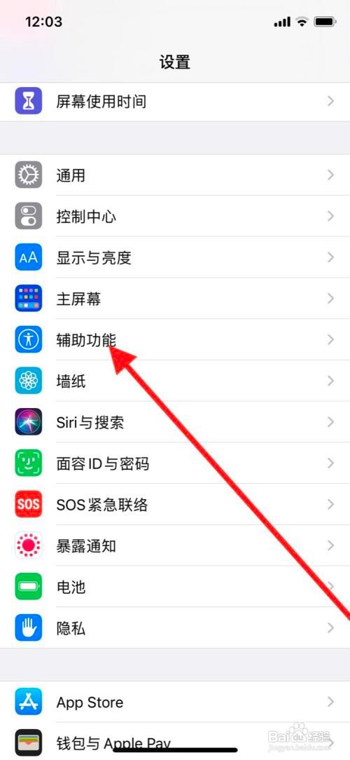 苹果11pro手机旁白盲文显示屏幕键盘如何关闭