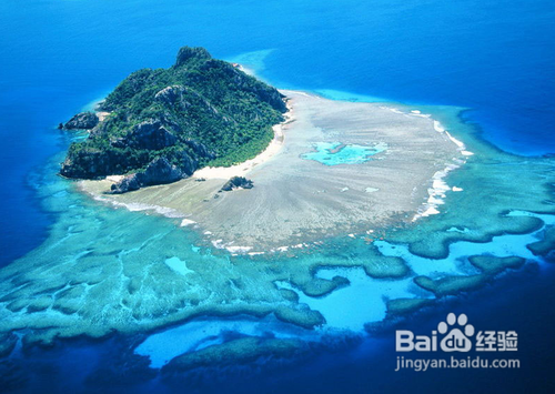 预防流感禽流感小贴士！