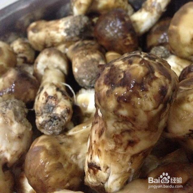 新手易做的黄油松茸