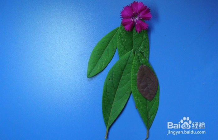 植物拼装画之欣赏花的美女