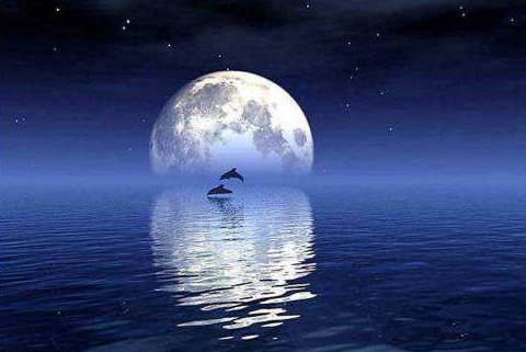 关于大海和月亮的诗句