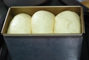 【奶香吐司面包】面包爱好者晋级必选,最易成功的吐司方子