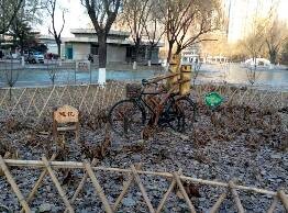 如何追一个女生