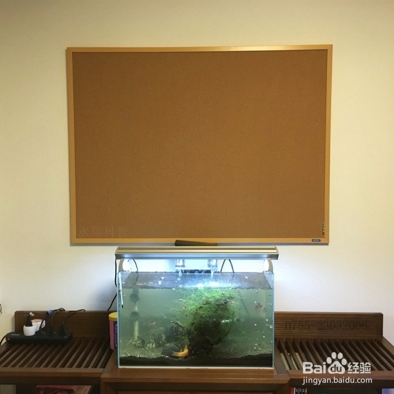家居装饰就选软木照片墙