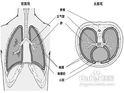 结核性胸膜炎的治疗