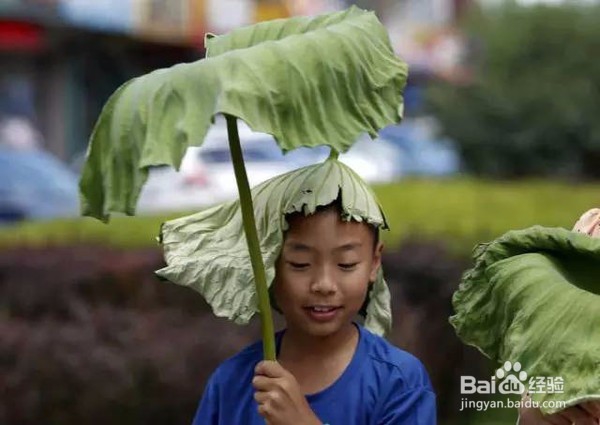 <b>夏天怎么保养我们的皮肤</b>