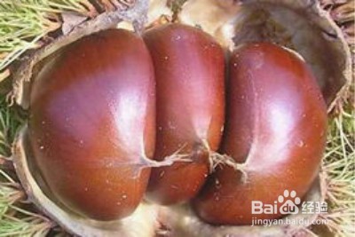 中年女人补充雌激素多吃4种食物
