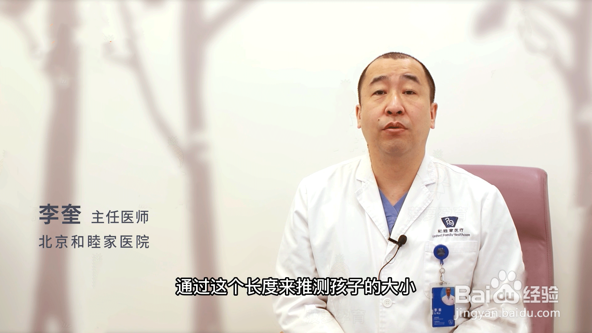股骨是哪个部位