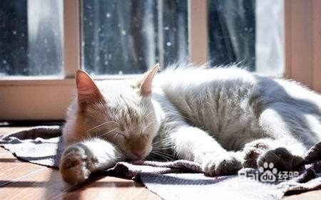 失眠多梦怎么办?小绝招一觉到天明