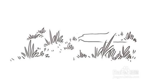 草地怎么画才好看