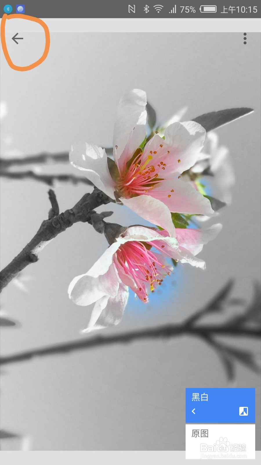 如何用snapseed进行图片的局部色彩保留