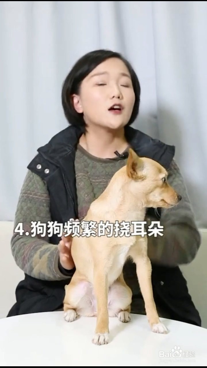 如何判断解读狗狗的反常行为