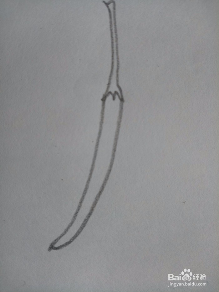 红辣椒的简笔画